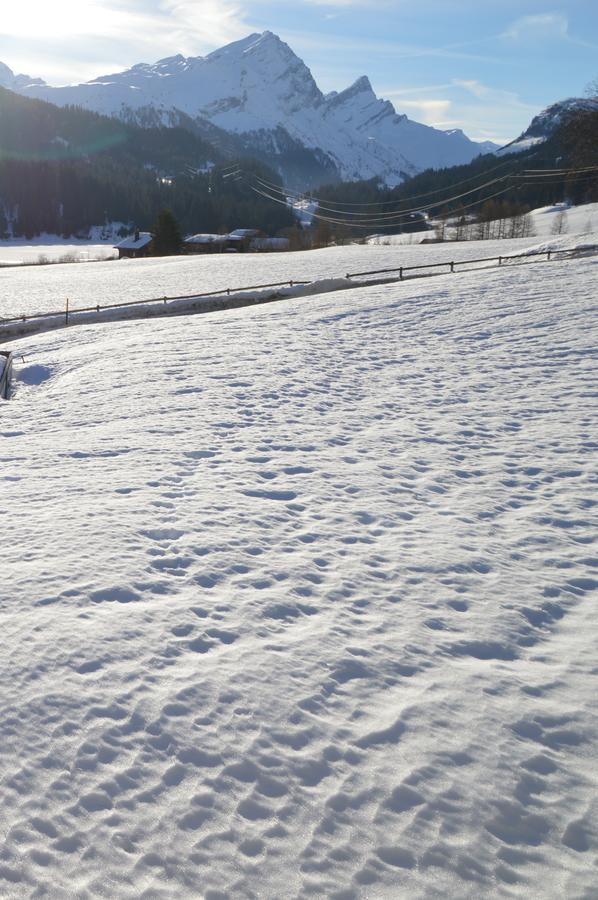Hotel Seeblick Sufers 外观 照片